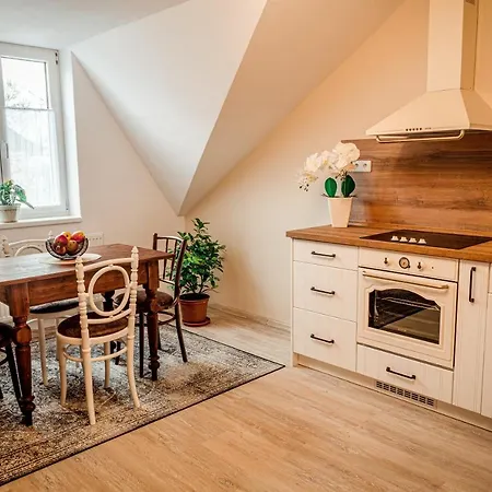 Nadstandardni Luxusni V Centru Ceske Lipy Apartament